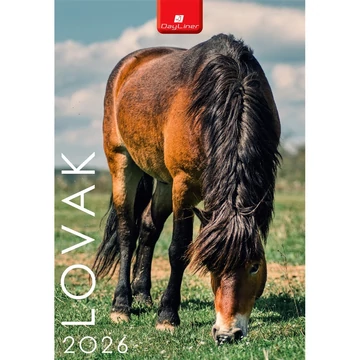 Falinaptár képes 230 x 330 mm, fehér lapokkal Lovak Dayliner 2026. Falinaptár képes 230 x 330 mm, fehér lapokkal Lovak Dayliner 2026.