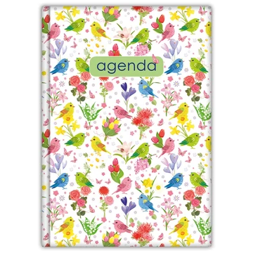 Határidőnapló Colors A5 heti, fehér lapokkal Nature zöld Dayliner 2026. Határidőnapló Colors A5 heti, fehér lapokkal Nature zöld Dayliner 2026.