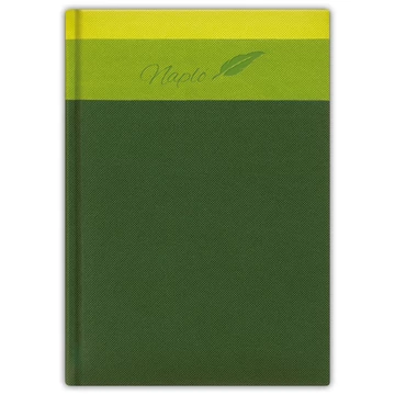 Tárgyalási napló Trinity A5 napló, fehér lapokkal zöld Dayliner 2026. Tárgyalási napló Trinity A5 napló, fehér lapokkal zöld Dayliner 2026.