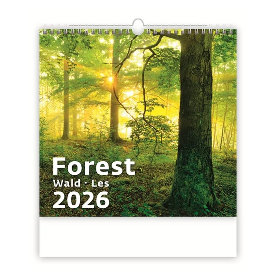 Falinaptár képes 300 x 300 mm, fehér lapokkal Forest Dayliner 2026. Falinaptár képes 300 x 300 mm, fehér lapokkal Forest Dayliner 2026.