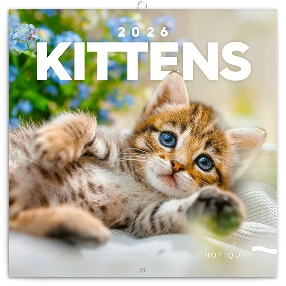 Falinaptár képes lemeznaptár 300x300mm, Kittens Realsystem 2026.