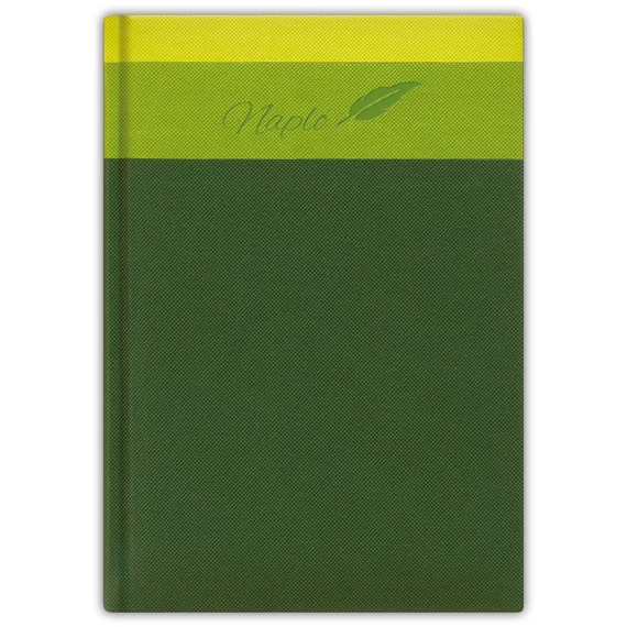 Tárgyalási napló Trinity A5 napló, fehér lapokkal zöld Dayliner 2026. Tárgyalási napló Trinity A5 napló, fehér lapokkal zöld Dayliner 2026.