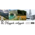 Kép 1/2 - Asztali naptár képes, 295mmx140mm, álló tartóval 2026.
