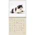 Kép 5/7 - Falinaptár képes 300 x 300 mm, fehér lapokkal Cats Dayliner 2026. Kép 5/7 - Falinaptár képes 300 x 300 mm, fehér lapokkal Cats Dayliner 2026.