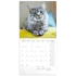Kép 3/3 - Falinaptár képes lemeznaptár 300x300mm, Cats Realsystem 2026.