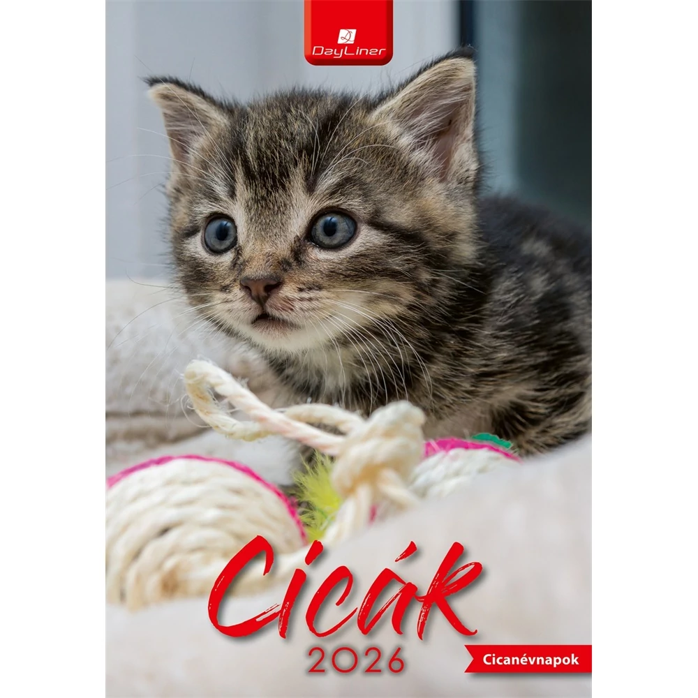 Falinaptár képes 230 x 330 mm, fehér lapokkal Cicák Dayliner 2026.