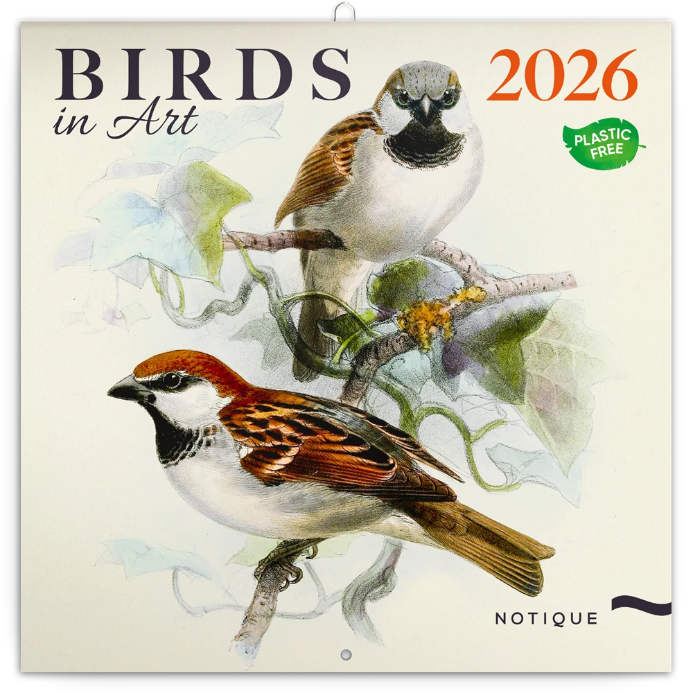 Falinaptár képes lemeznaptár 300x300mm, Birds in Art Realsystem 2026.