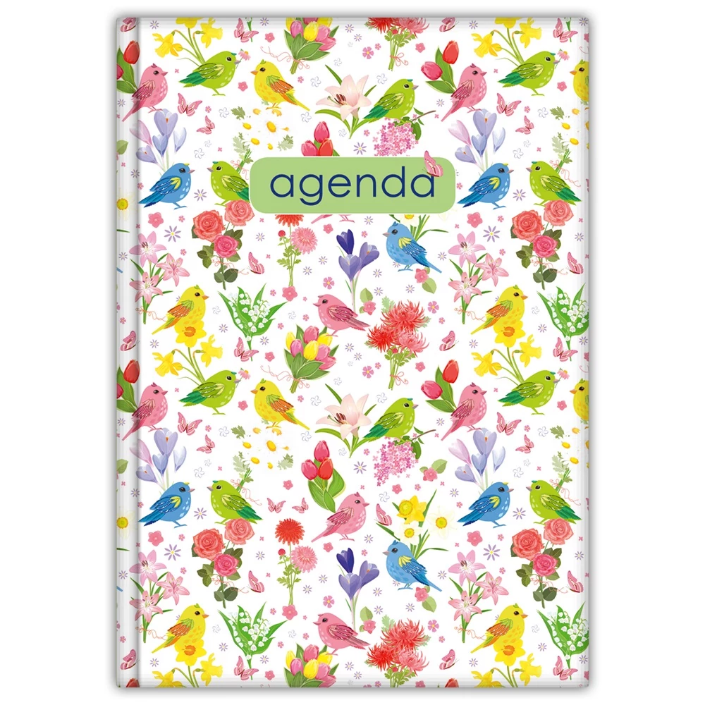 Határidőnapló Colors A5 heti, fehér lapokkal Nature zöld Dayliner 2026.